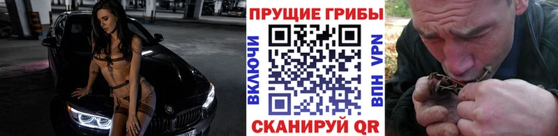Псилоцибиновые грибы прущие грибы  что такое наркотик  Красавино 